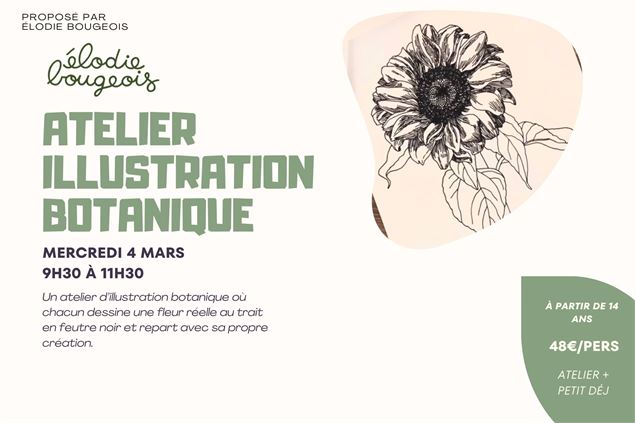 Atelier illustration botanique