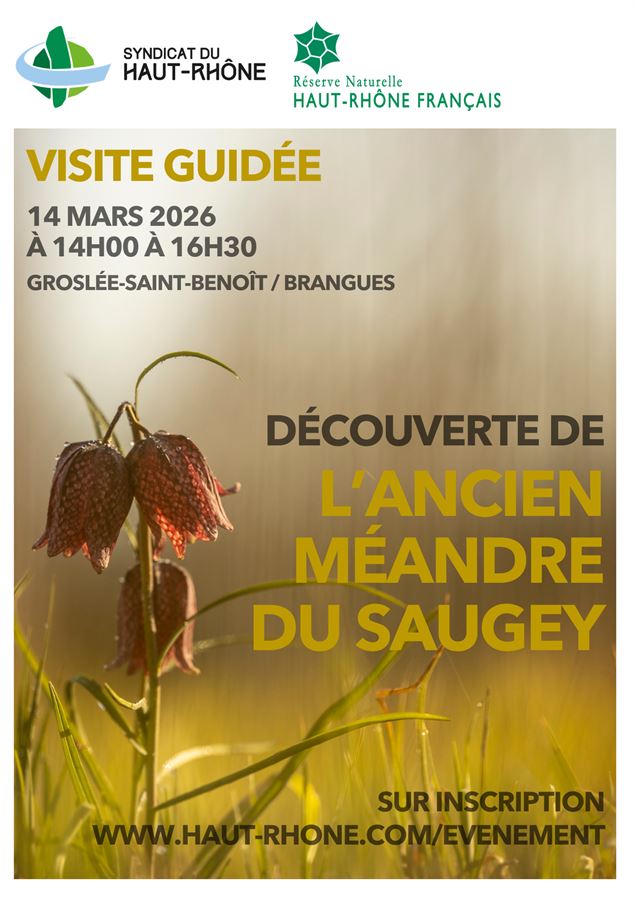 Visite guidée de l'ancien méandre du Saugey - Syndicat du Haut-Rhône