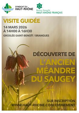Visite guidée de l'ancien méandre du Saugey - Syndicat du Haut-Rhône