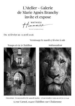 Exposition photo -"Temps et vie à Châtillon" et "Ambassadeur" - Mathieu Hommaire