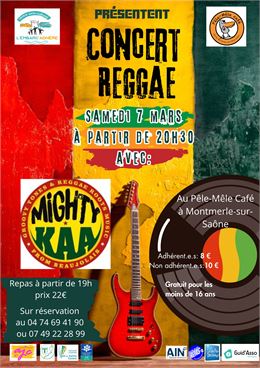 Concert Reggae_Thoissey
