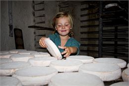 Dégustation de reblochon au Grand-Bornand - © Alpes photos vidéo - Aravis