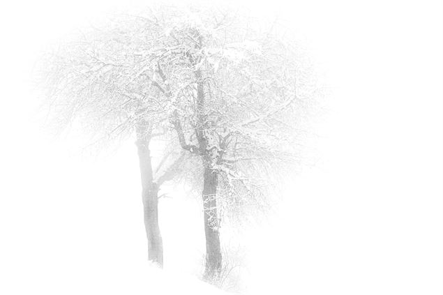 Olga Vladi Celegato - Olga Vladi Celegato