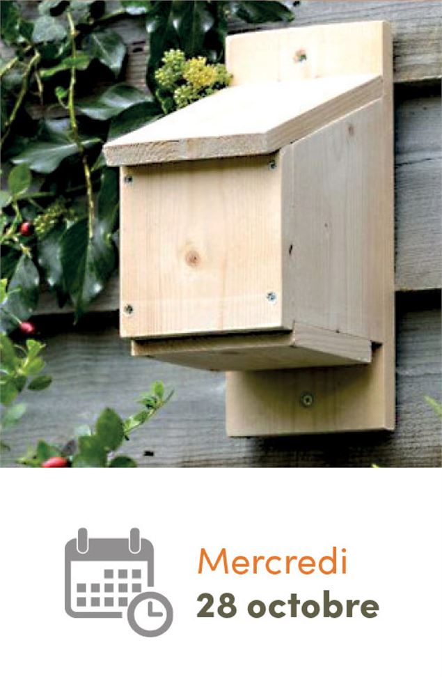 Construction de gîte à chauves-souris_Sainte-Croix - 3CM