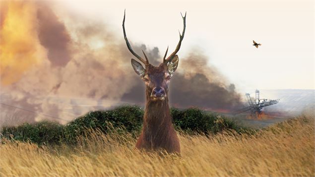 Projection/discussion du documentaire 