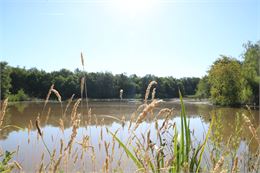 Etang de But - ©OTGBA - B.C.