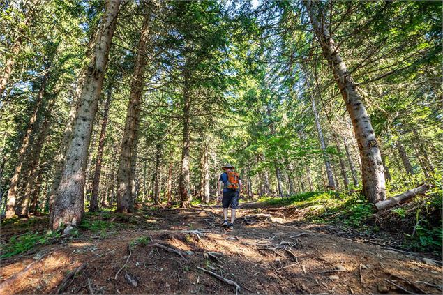 dans les bois de megeve - Marie bougault