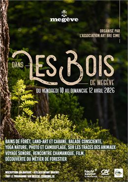 Dans les Bois de Megève_Megève