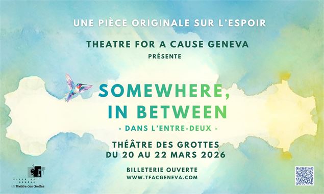 Affice SIB - TFAC Geneva