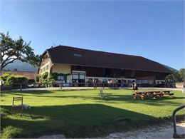 Stages juniors et stages minis de printemps - Belle Ferme