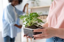 Illustration - Freepik