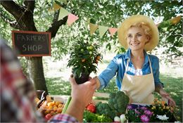 Illustration - Freepik