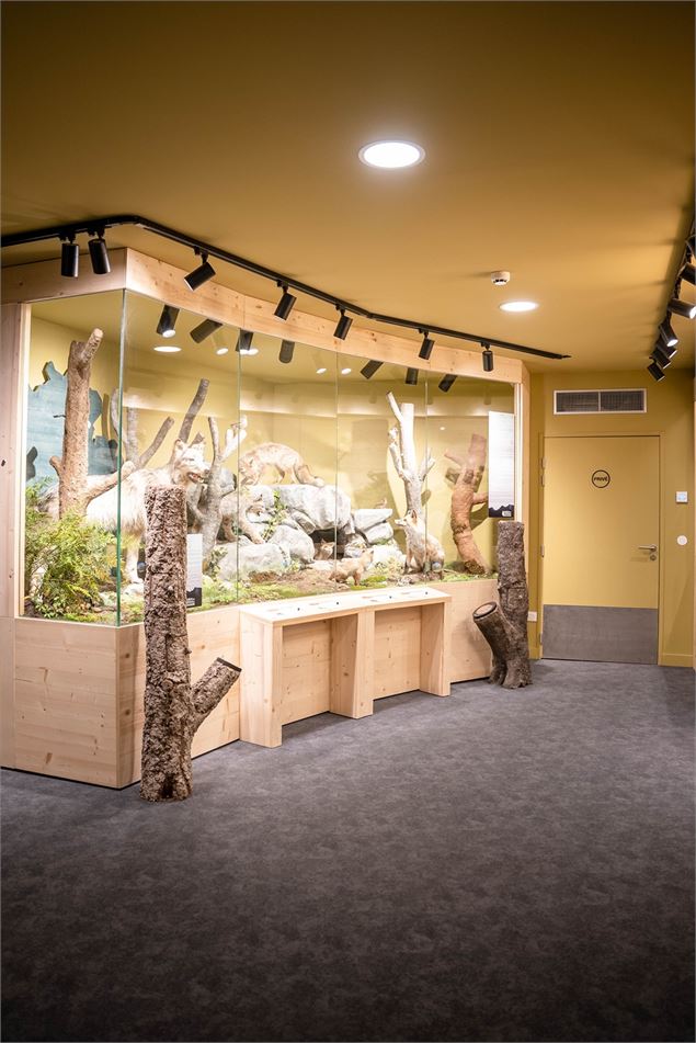 VISITE GUIDÉE DU MUSÉUM DES ANIMAUX - 25/03/2026_Les Arcs - OTPV