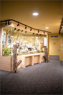 VISITE GUIDÉE DU MUSÉUM DES ANIMAUX - 25/03/2026_Les Arcs - OTPV