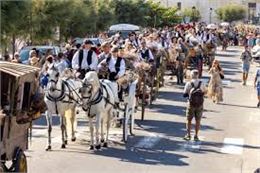 fête de la Saladelle - OT sainte Marie de la Mer
