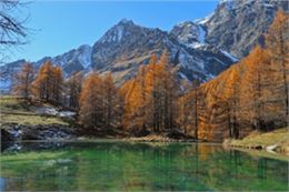Exposition photos du club chasseurs d'images 35/8_Chambéry - Chasseurs d'images 35/8 2026