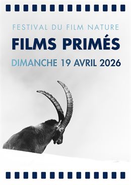 Séances Films Primés - Festival du Film Nature_Saint-Gervais-les-Bains