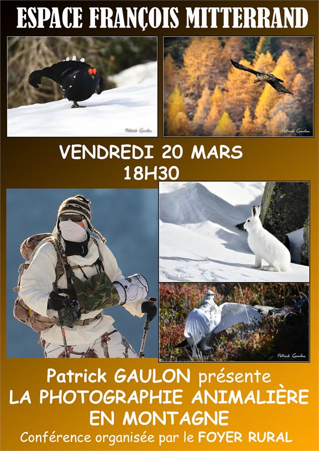 Affiche conférence - Patrick Gaulon