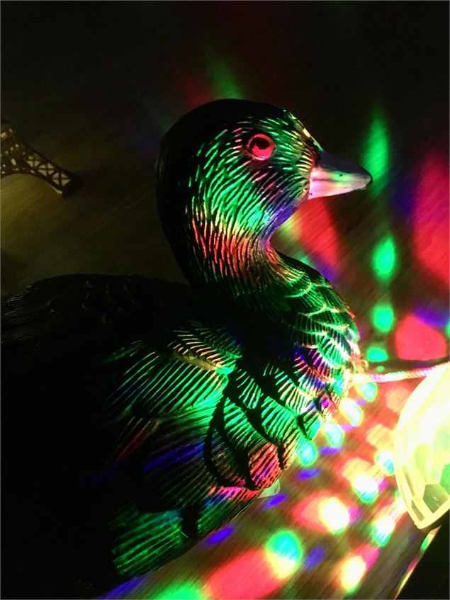 Une poule d'eau sculptée - Le Chante Côq