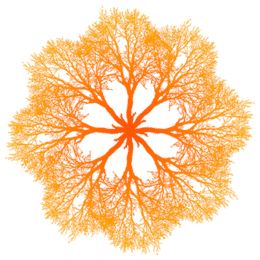 Yin Yoga Printemps-Détox & de bols chantants - Le Centre_Riddes