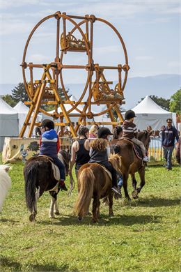 Des enfants se promènent à dos de poneys - Marion TODESCHINI
