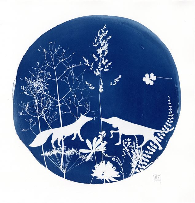 Atelier cyanotype_Les Houches - Marina Favret