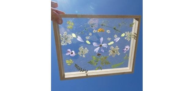 Art Floral (8-13 ans) - Maison du Marais de Lavours_Ceyzérieu - Maison du Marais de Lavours