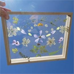 Art Floral (8-13 ans) - Maison du Marais de Lavours_Ceyzérieu - Maison du Marais de Lavours