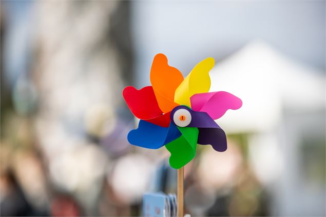 Folie(s) Végétales - Atelier fabrication d'une éolienne_Thonon-les-Bains - JyHell Photographies