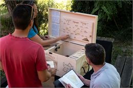 Esc'apéro aux Fruits de la Treille_Myans