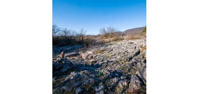 Tous au Fierloz  (à partir de 5 ans) - Maison du Marais de Lavours_Artemare - Maison du Marais de La