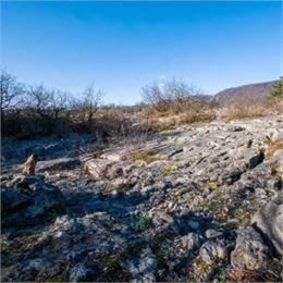 Tous au Fierloz  (à partir de 5 ans) - Maison du Marais de Lavours_Artemare - Maison du Marais de La