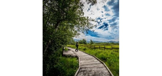 Visite guidée de la Réserve Naturelle du Marais de Lavours_Ceyzérieu - Maison du Marais