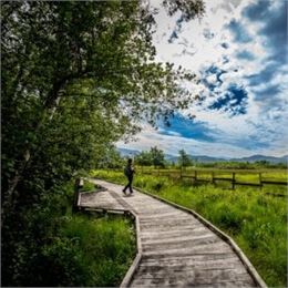 Visite guidée de la Réserve Naturelle du Marais de Lavours_Ceyzérieu - Maison du Marais