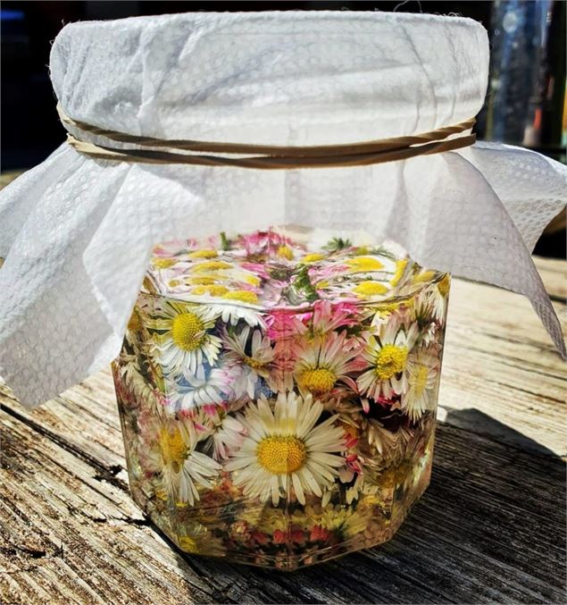 Atelier Plantes médicinales - Festival du Film Nature_Saint-Gervais-les-Bains