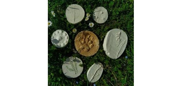 Moulages sauvages d'empreintes et de plantes (4-7ans) - Maison du Marais de Lavours_Ceyzérieu - Mais