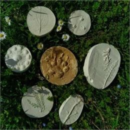 Moulages sauvages d'empreintes et de plantes (4-7ans) - Maison du Marais de Lavours_Ceyzérieu - Mais