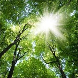 Gardien.nes de la forêt (7-13ans) - Marais de Lavours_Ceyzérieu - Maison du Marais de Lavours