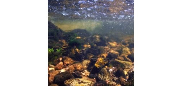 Les Musik'eaus (4-7 ans) - Maison du Marais de Lavours_Ceyzérieu - Maison du Marais de Lavours
