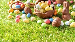 paniers avec des oeufs en chocolat dedans - canva