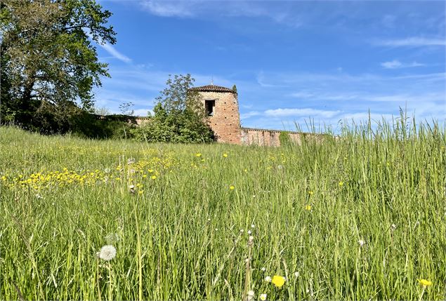 Remparts de Châtillon-sur-Chalaronne - Stéphanie Liochon