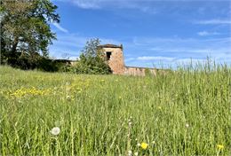 Remparts de Châtillon-sur-Chalaronne - Stéphanie Liochon