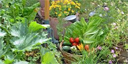 Visite gratuite d'un jardin potager local à Lovagny_Annecy