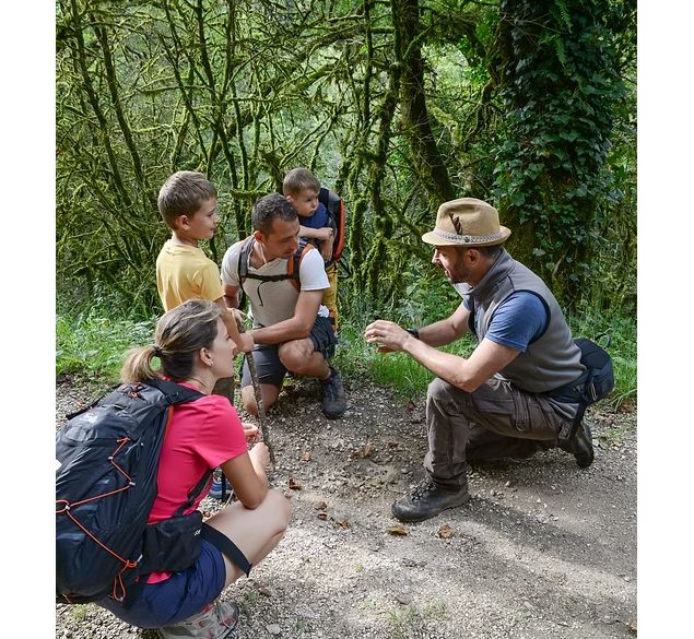 Sébastien Durlin - Anthony Cottarel