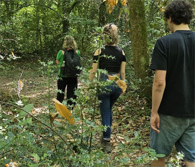 Reconnexion Nature - Véronique Goudet