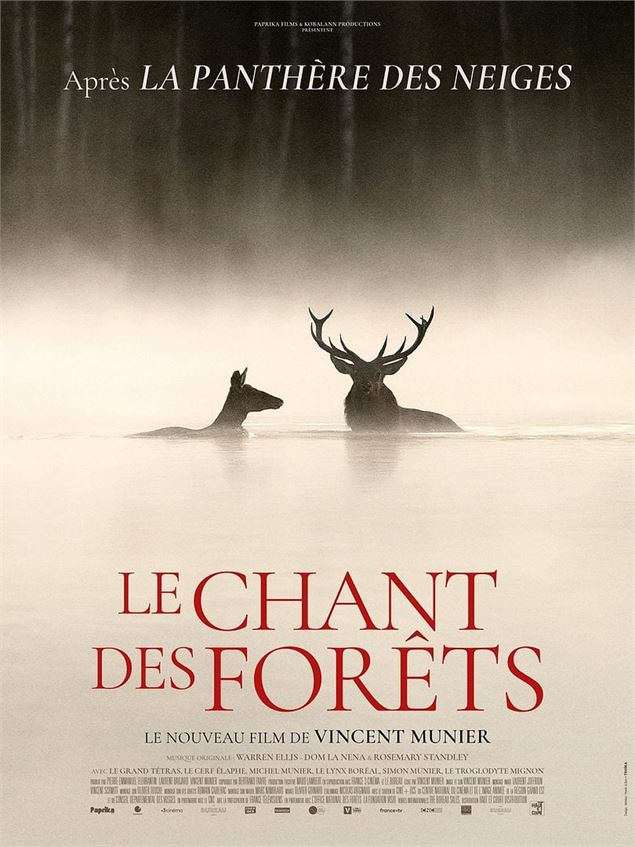 Cinéma - Le Chant des forêts_Pralognan-la-Vanoise