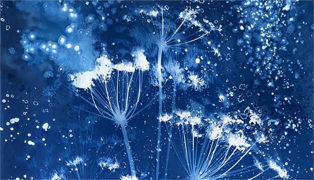 Initiation au cyanotype_Valserhône - Bleu Emmagathe