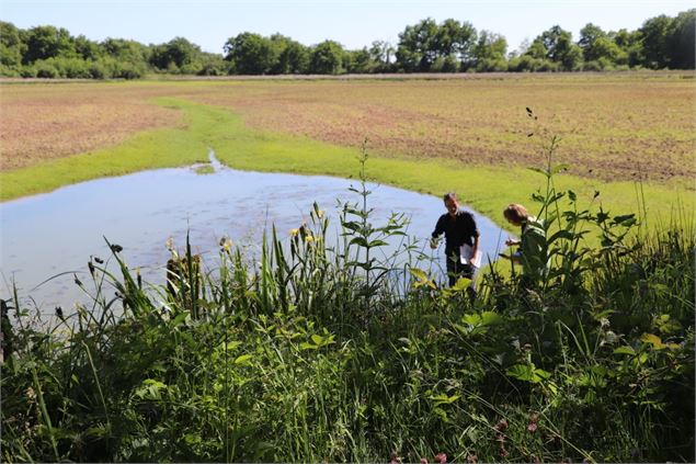 Etang en assec - MDEE01