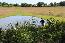 Etang en assec - MDEE01