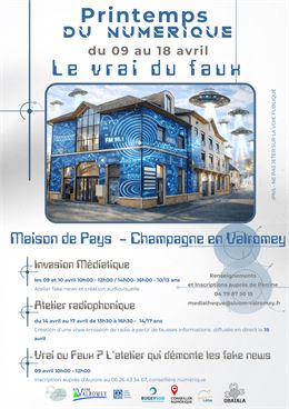 Printemps du numérique : le vrai du faux ! - 000